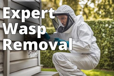 wasps exterminator near me services